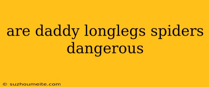 Are Daddy Longlegs Spiders Dangerous