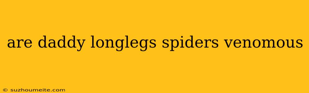 Are Daddy Longlegs Spiders Venomous