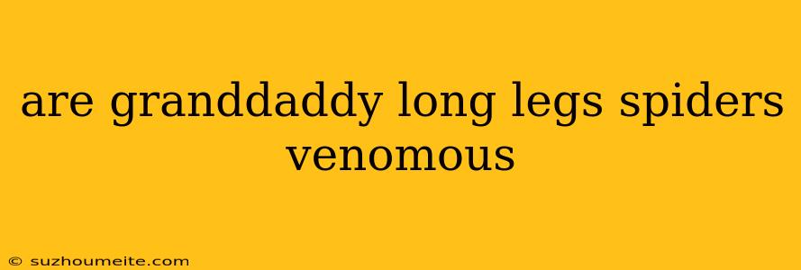 Are Granddaddy Long Legs Spiders Venomous