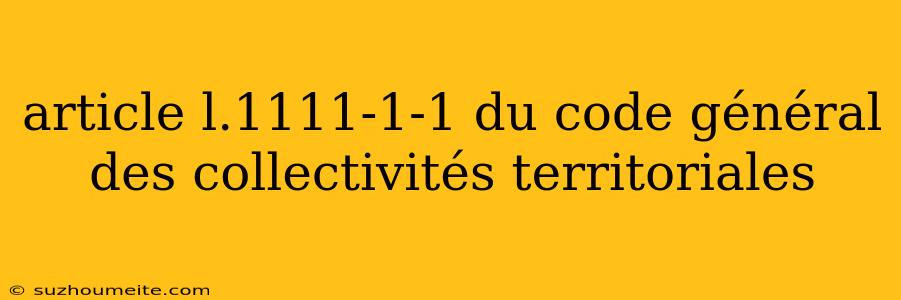 Article L.1111-1-1 Du Code Général Des Collectivités Territoriales