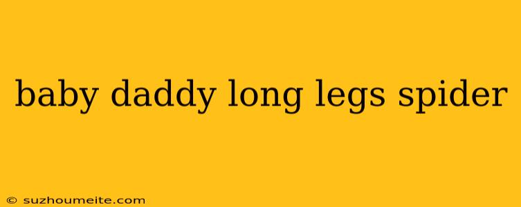 Baby Daddy Long Legs Spider