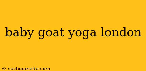 Baby Goat Yoga London