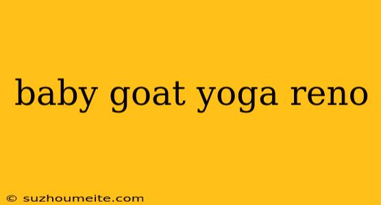 Baby Goat Yoga Reno