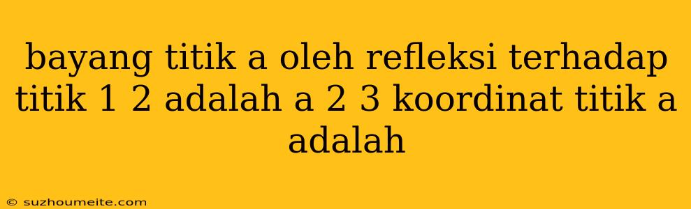 Bayang Titik A Oleh Refleksi Terhadap Titik 1 2 Adalah A 2 3 Koordinat Titik A Adalah