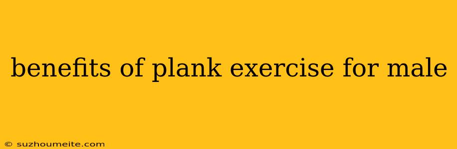 Benefits Of Plank Exercise For Male