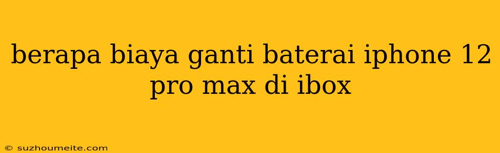 Berapa Biaya Ganti Baterai Iphone 12 Pro Max Di Ibox