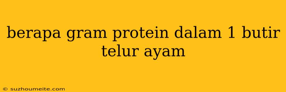 Berapa Gram Protein Dalam 1 Butir Telur Ayam