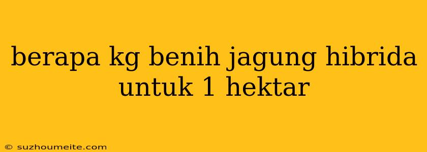 Berapa Kg Benih Jagung Hibrida Untuk 1 Hektar