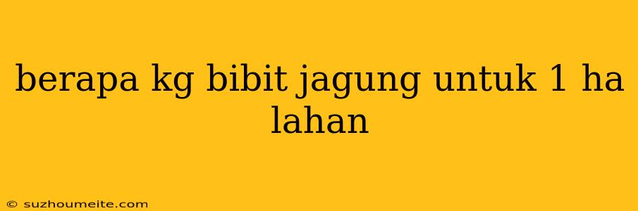 Berapa Kg Bibit Jagung Untuk 1 Ha Lahan