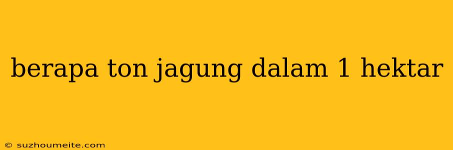 Berapa Ton Jagung Dalam 1 Hektar