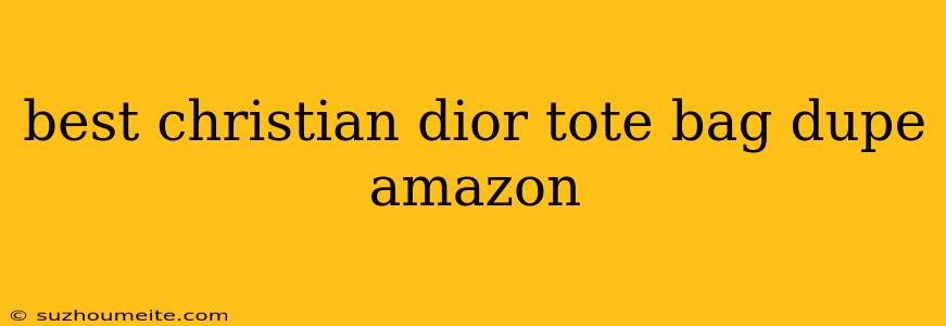 Best Christian Dior Tote Bag Dupe Amazon