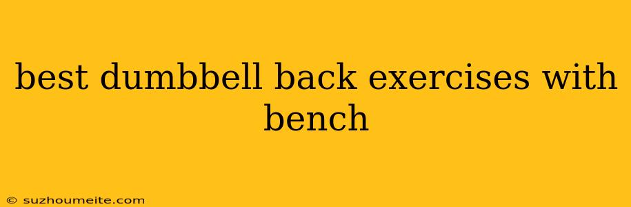 Best Dumbbell Back Exercises With Bench