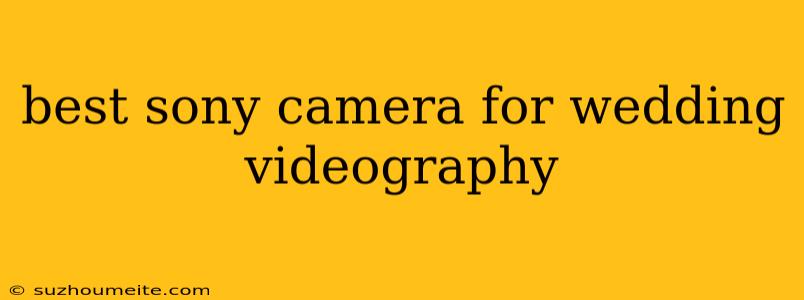 Best Sony Camera For Wedding Videography