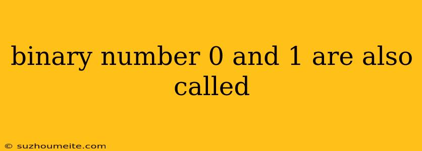 Binary Number 0 And 1 Are Also Called