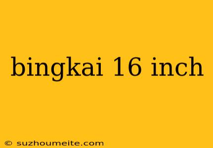 Bingkai 16 Inch