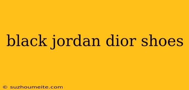 Black Jordan Dior Shoes