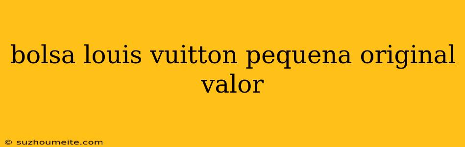 Bolsa Louis Vuitton Pequena Original Valor