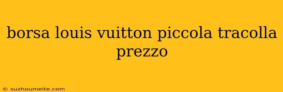 Borsa Louis Vuitton Piccola Tracolla Prezzo