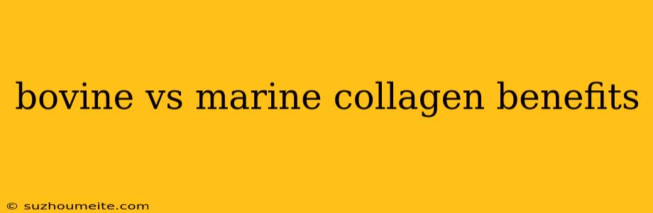 Bovine Vs Marine Collagen Benefits