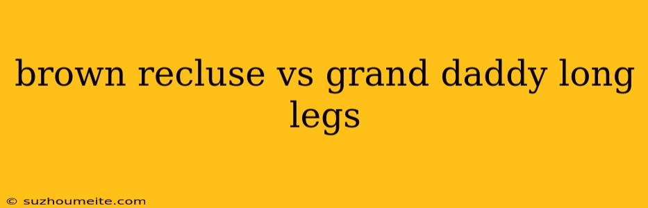 Brown Recluse Vs Grand Daddy Long Legs