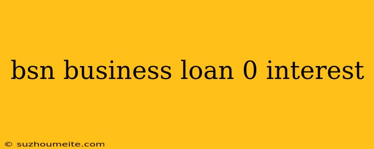 Bsn Business Loan 0 Interest