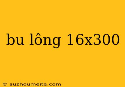 Bu Lông 16x300