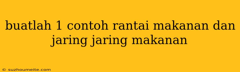 Buatlah 1 Contoh Rantai Makanan Dan Jaring Jaring Makanan