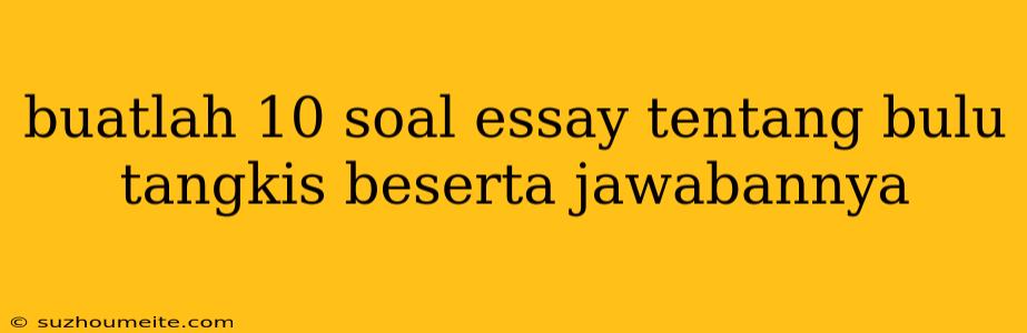 Buatlah 10 Soal Essay Tentang Bulu Tangkis Beserta Jawabannya