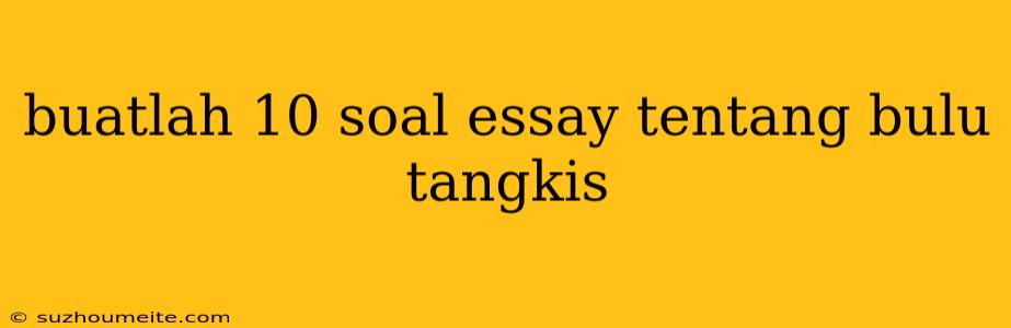 Buatlah 10 Soal Essay Tentang Bulu Tangkis