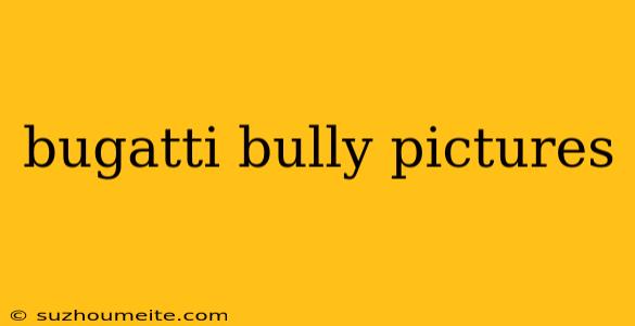 Bugatti Bully Pictures